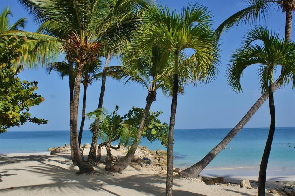 Siboney Beach Club St. John's Bagian luar foto