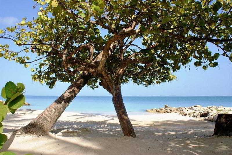Siboney Beach Club St. John's Bagian luar foto